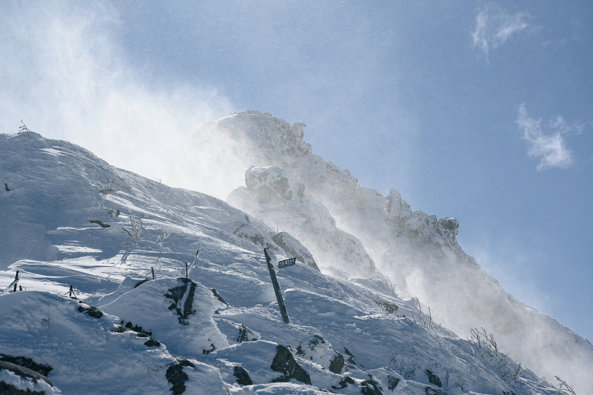 f:id:daitai_Iro:20220131215335j:plain