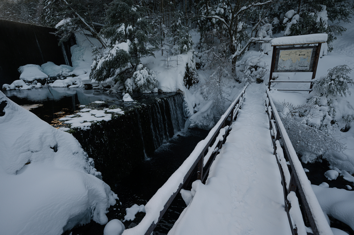 f:id:daitai_Iro:20220131221314j:plain