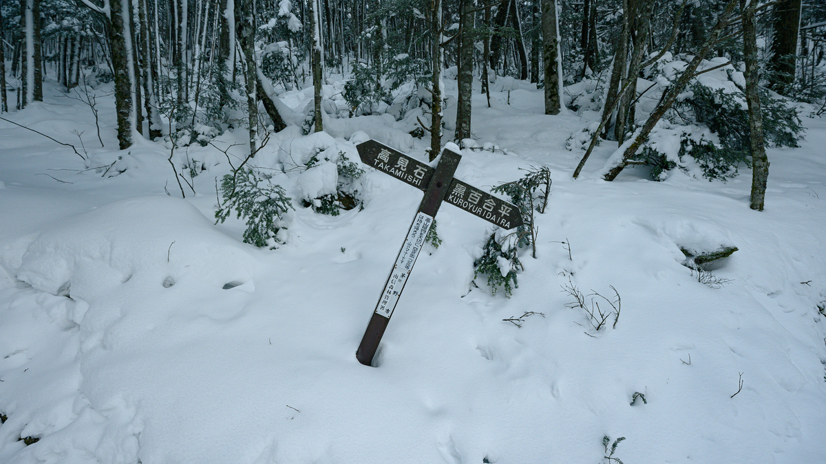 f:id:daitai_Iro:20220131221335j:plain