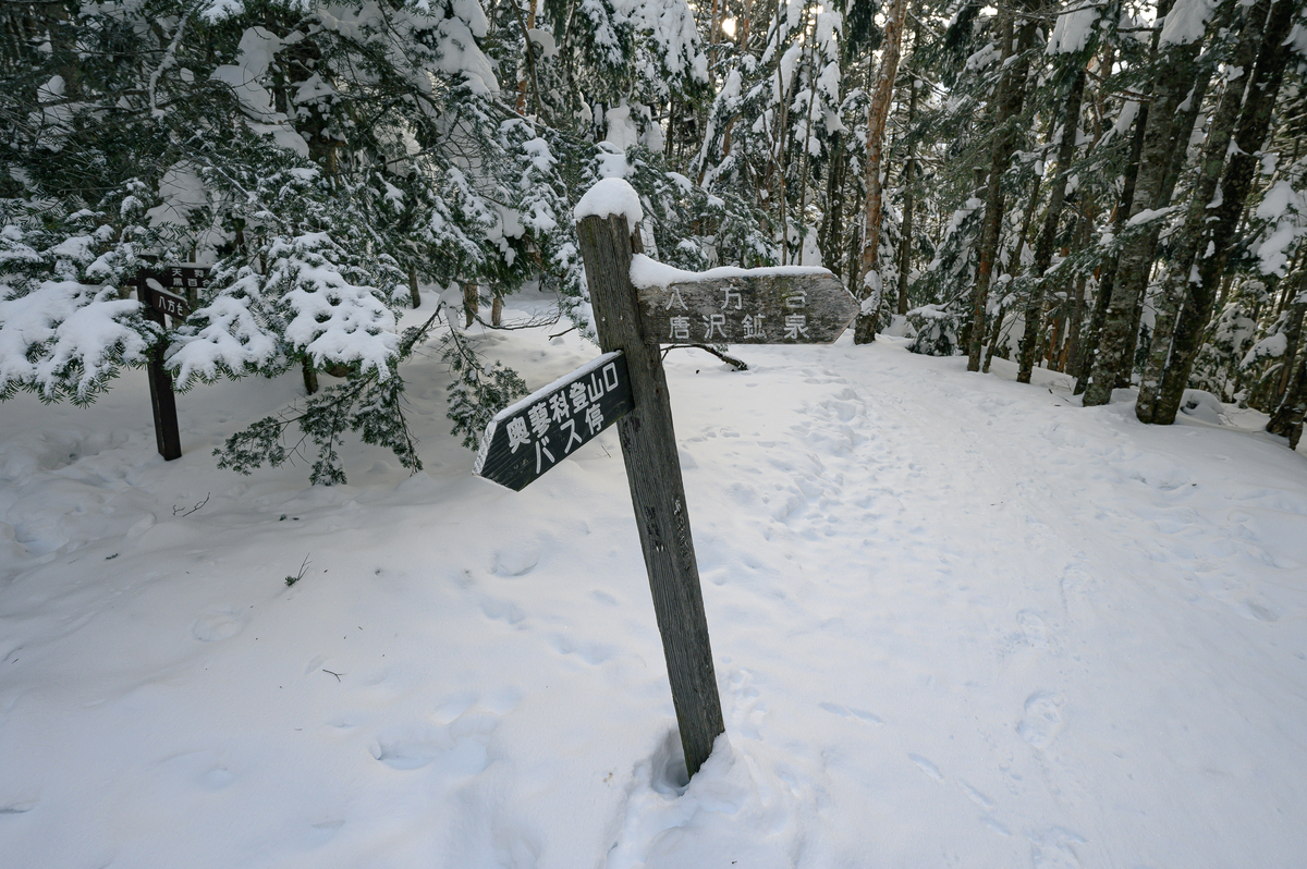 f:id:daitai_Iro:20220201201149j:plain