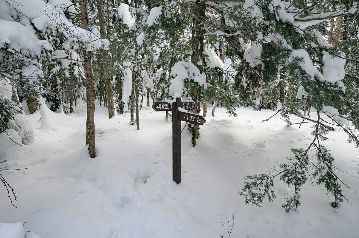 f:id:daitai_Iro:20220201210730j:plain