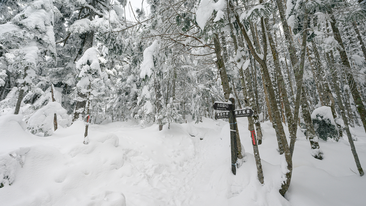 f:id:daitai_Iro:20220201213744j:plain