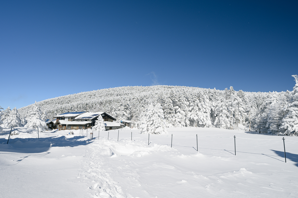 f:id:daitai_Iro:20220201214822j:plain