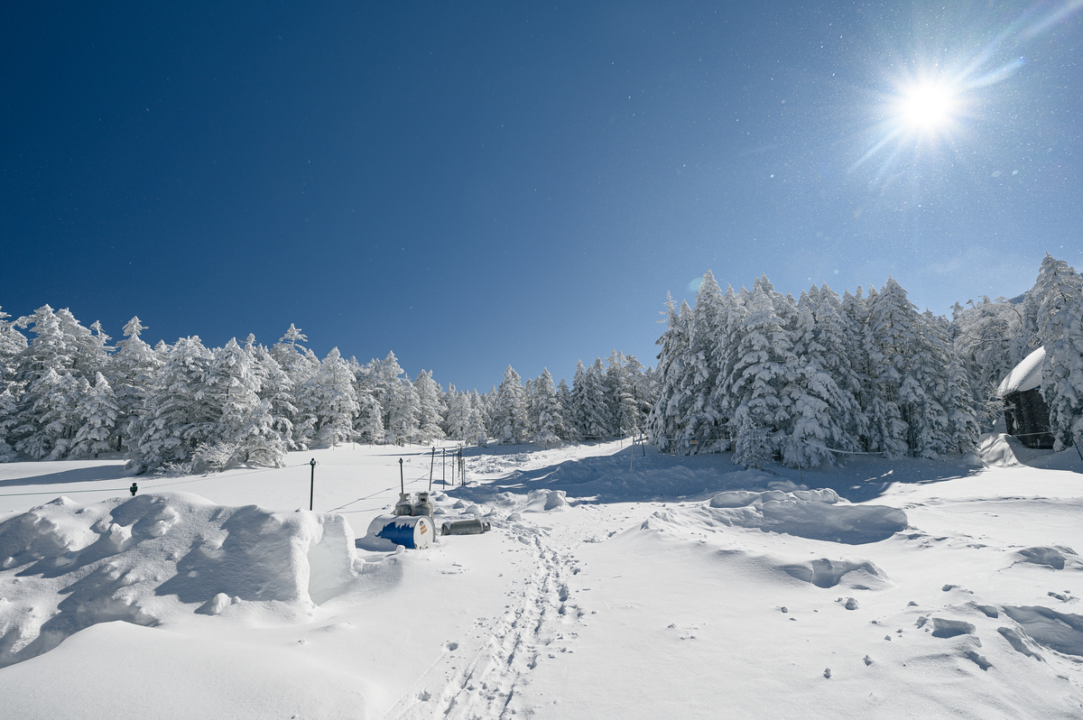 f:id:daitai_Iro:20220201214841j:plain