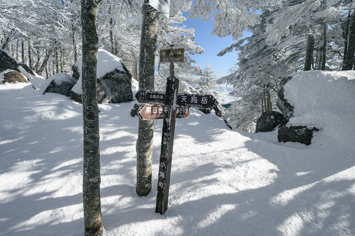 f:id:daitai_Iro:20220201215031j:plain