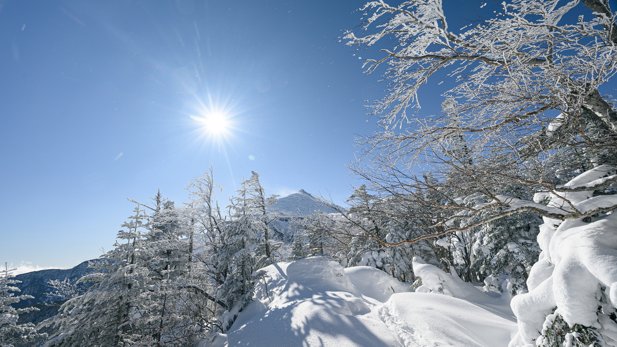 f:id:daitai_Iro:20220201215057j:plain