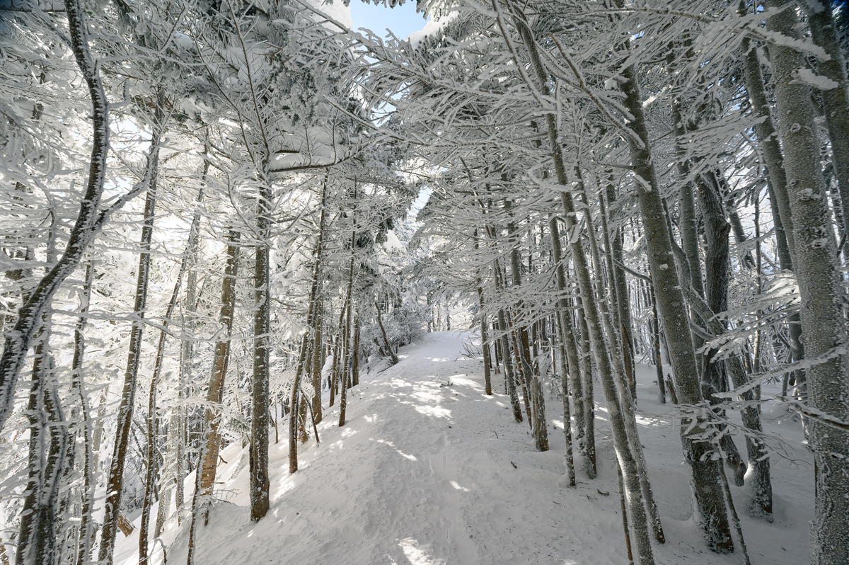 f:id:daitai_Iro:20220201215259j:plain