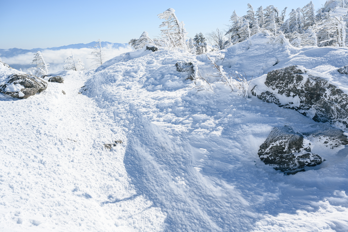 f:id:daitai_Iro:20220201215644j:plain