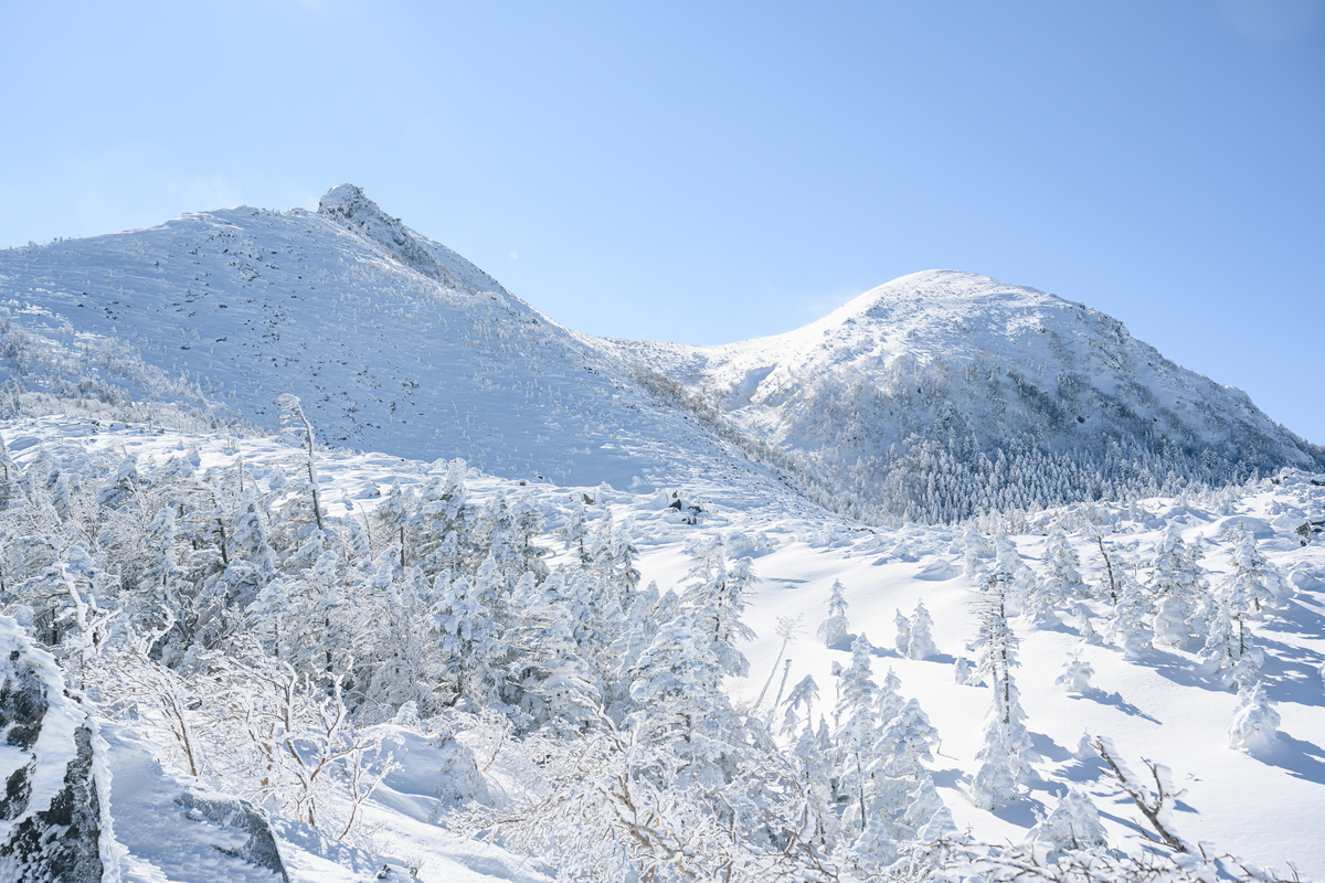 f:id:daitai_Iro:20220201215844j:plain