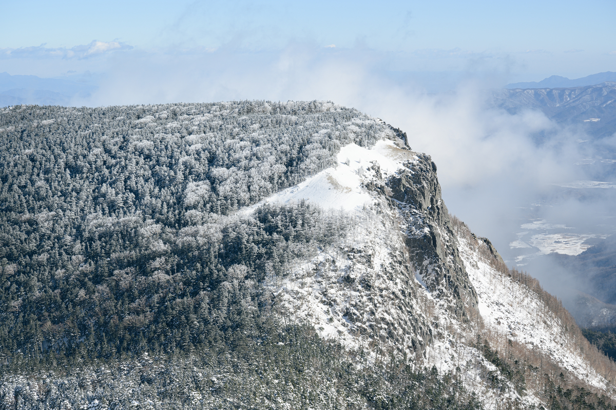 f:id:daitai_Iro:20220201220021j:plain