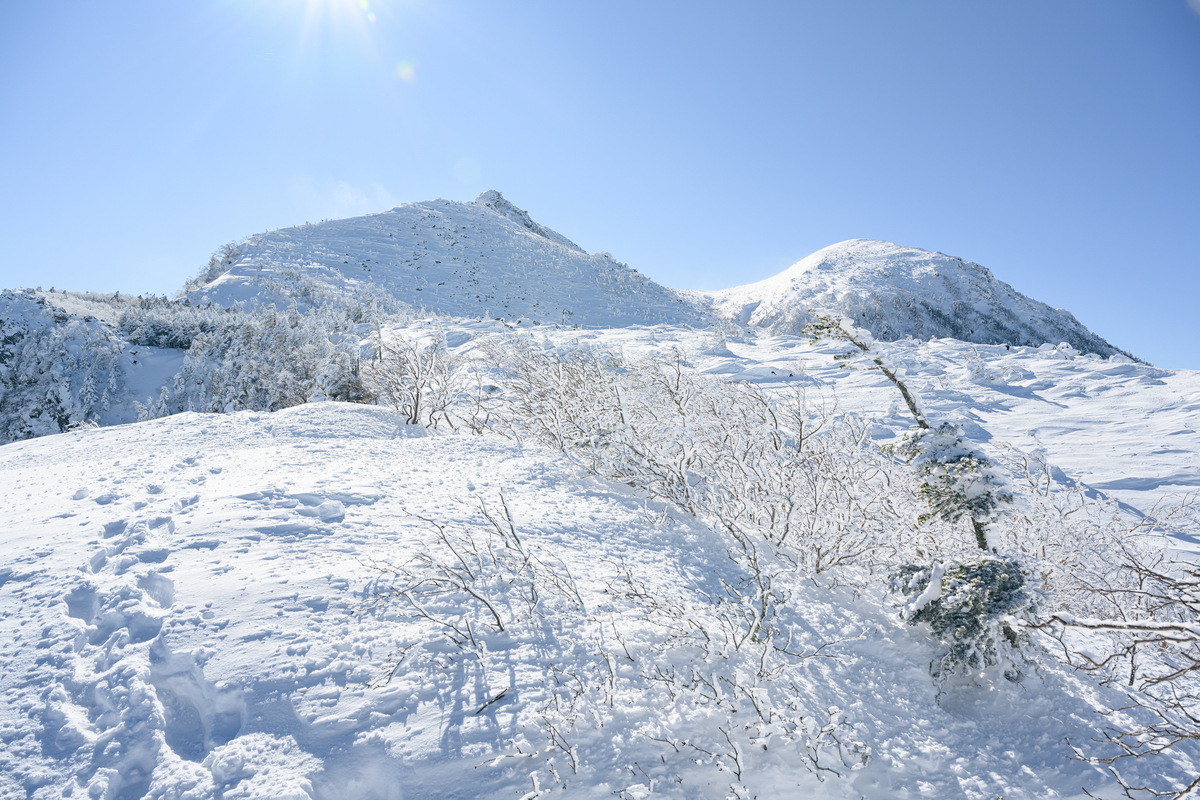 f:id:daitai_Iro:20220201220203j:plain