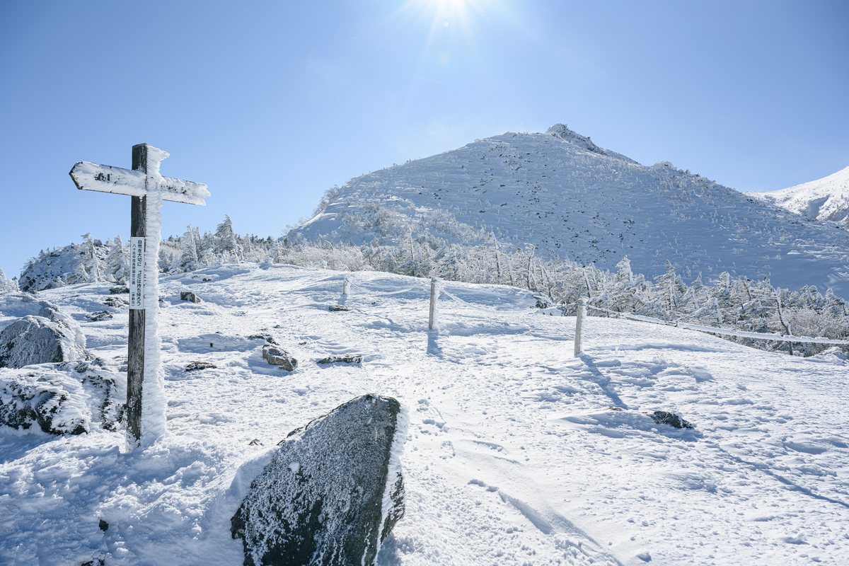 f:id:daitai_Iro:20220201220246j:plain