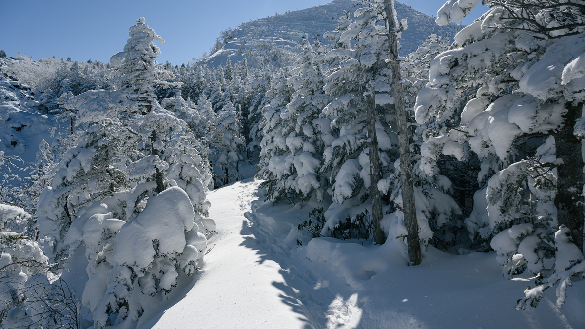 f:id:daitai_Iro:20220201220844j:plain