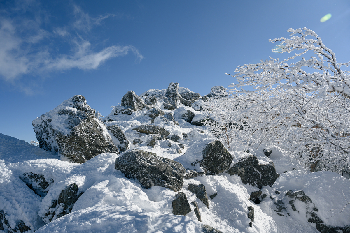 f:id:daitai_Iro:20220201221401j:plain