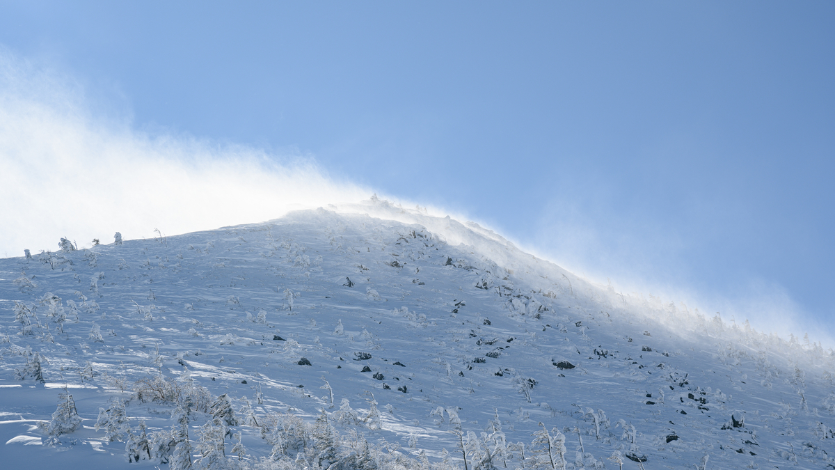 f:id:daitai_Iro:20220201221433j:plain