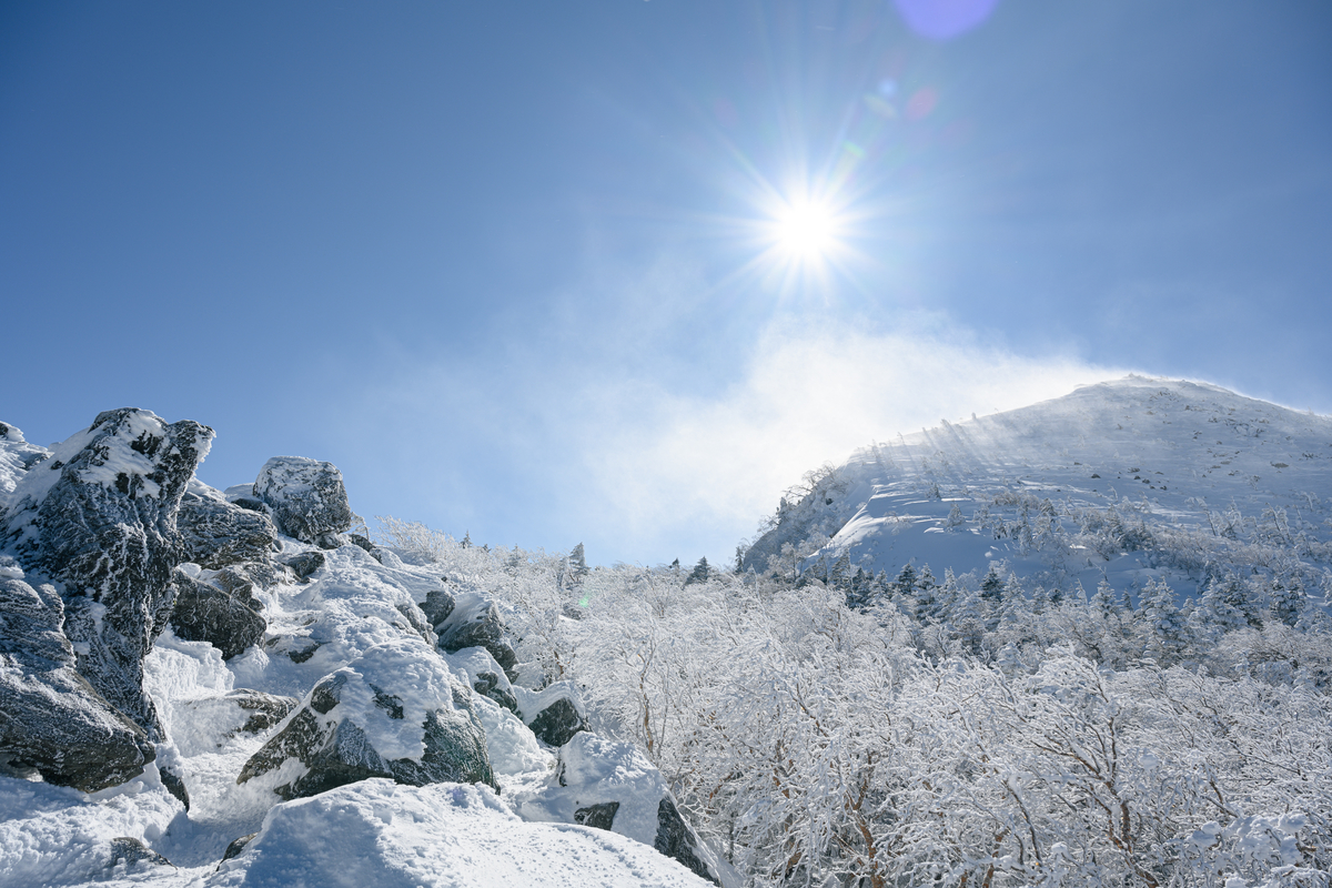 f:id:daitai_Iro:20220201221457j:plain