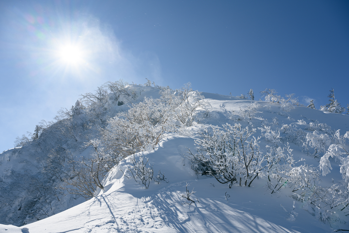 f:id:daitai_Iro:20220201221546j:plain