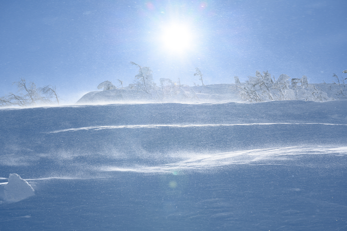 f:id:daitai_Iro:20220201221838j:plain