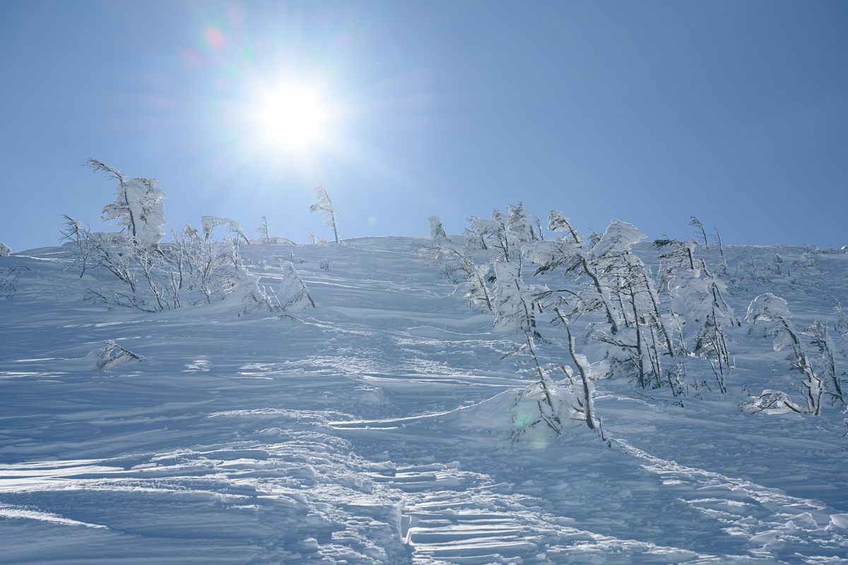 f:id:daitai_Iro:20220201221923j:plain