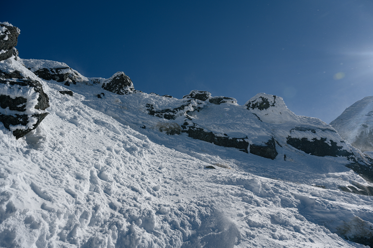 f:id:daitai_Iro:20220202202808j:plain