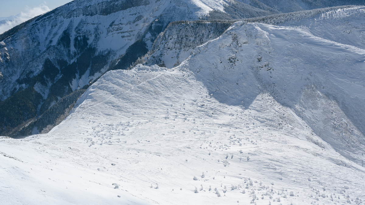 f:id:daitai_Iro:20220202215928j:plain