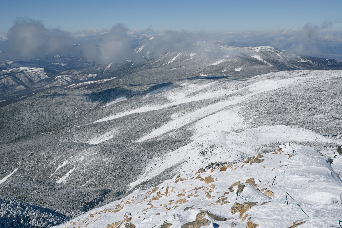 f:id:daitai_Iro:20220202215951j:plain