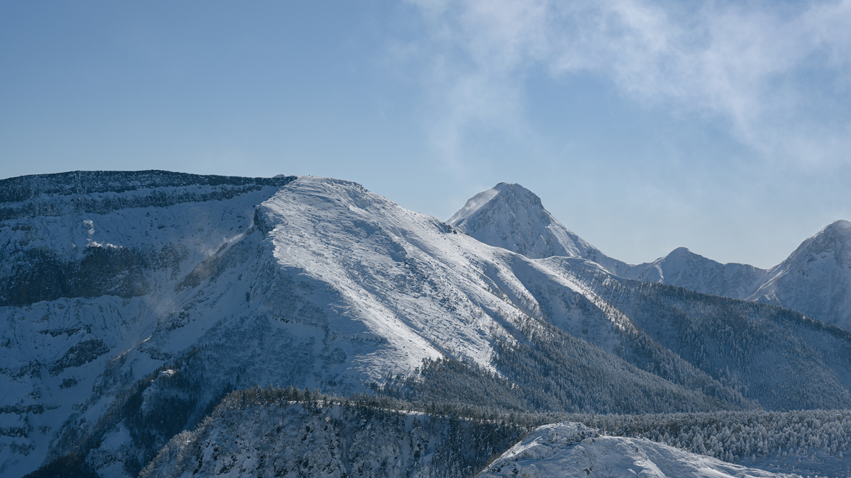 f:id:daitai_Iro:20220202220105j:plain