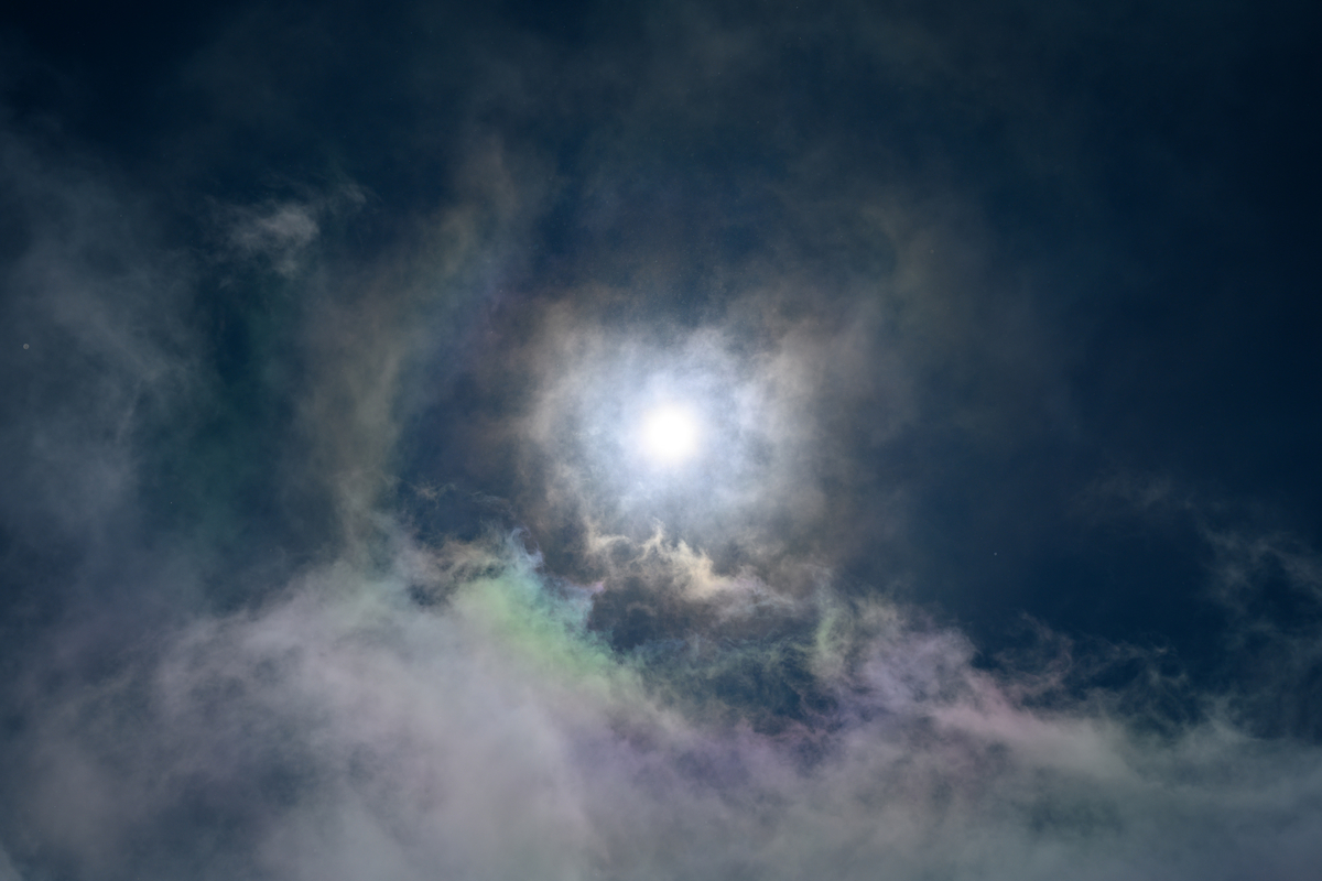 f:id:daitai_Iro:20220202220636j:plain