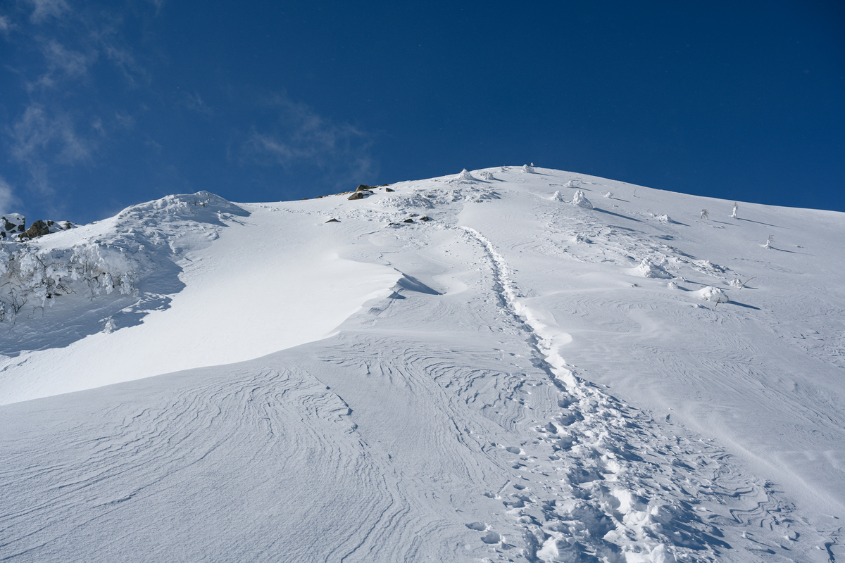 f:id:daitai_Iro:20220202220933j:plain