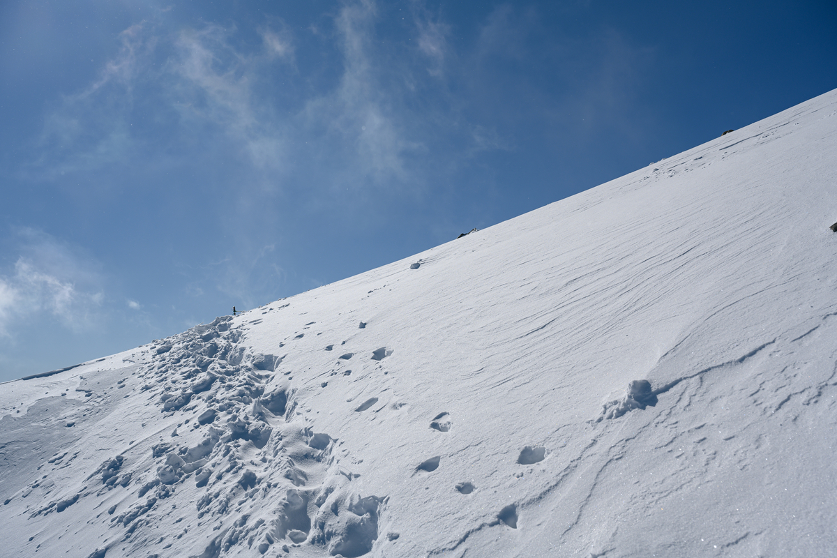 f:id:daitai_Iro:20220202221010j:plain