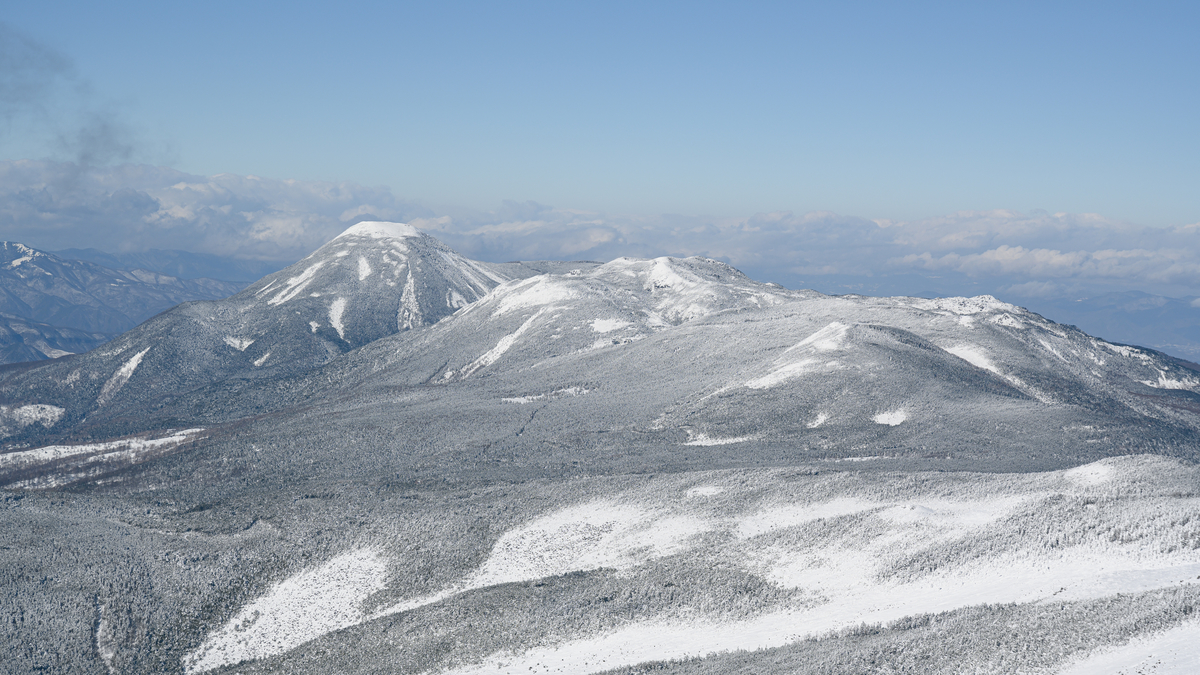 f:id:daitai_Iro:20220202221239j:plain