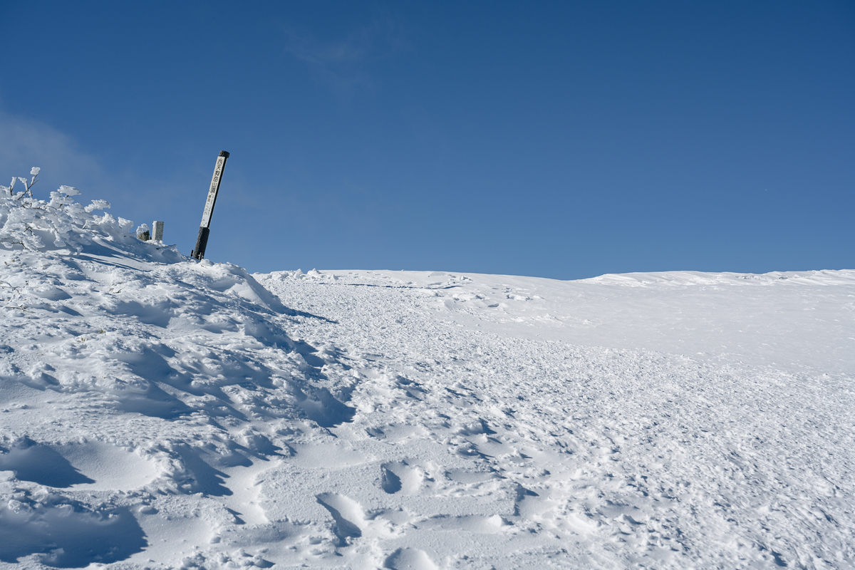 f:id:daitai_Iro:20220202221801j:plain