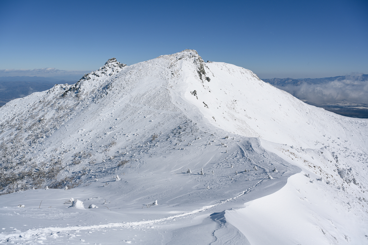 f:id:daitai_Iro:20220202221914j:plain