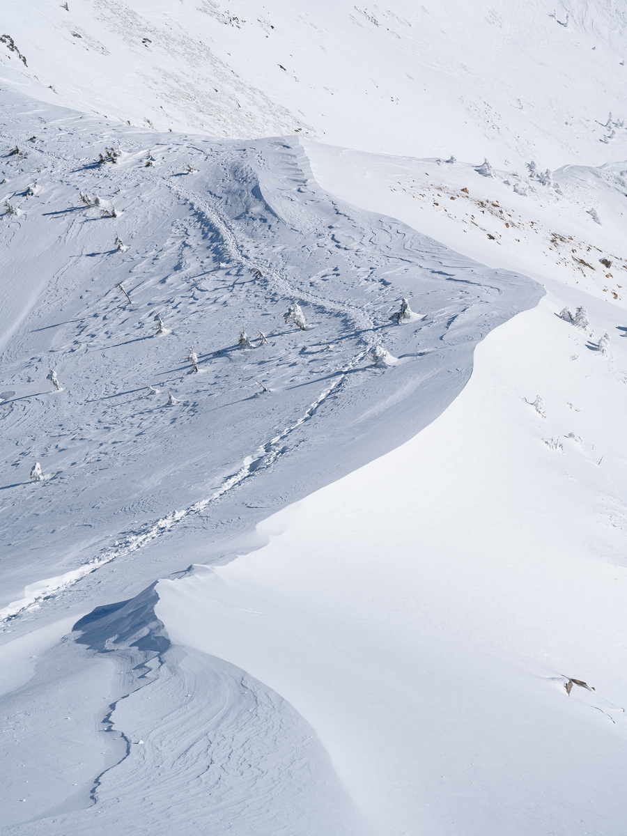 f:id:daitai_Iro:20220202222036j:plain