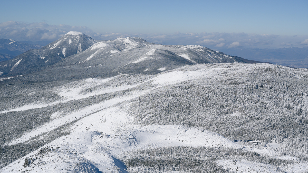 f:id:daitai_Iro:20220202222631j:plain