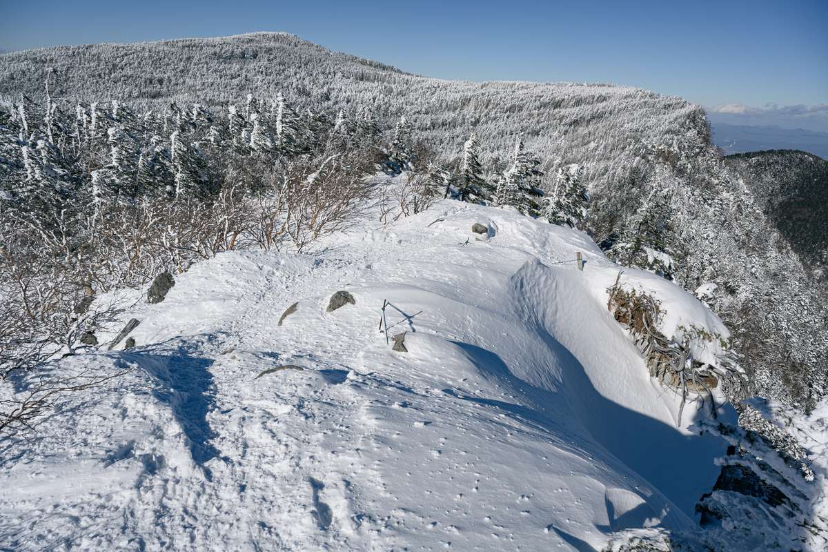 f:id:daitai_Iro:20220203214658j:plain