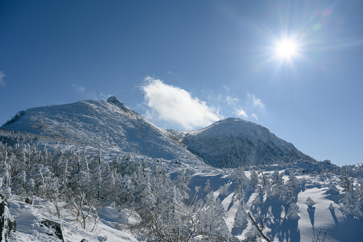 f:id:daitai_Iro:20220203214841j:plain