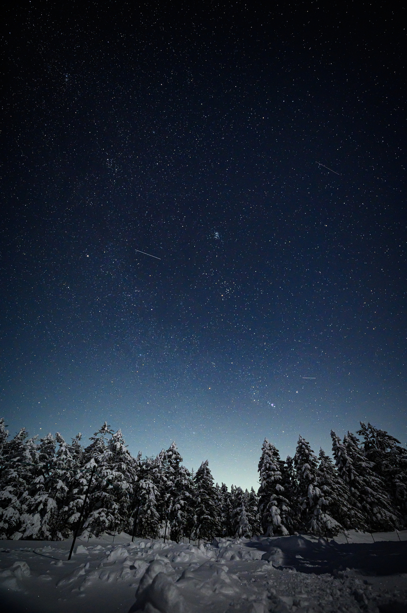 f:id:daitai_Iro:20220203215844j:plain