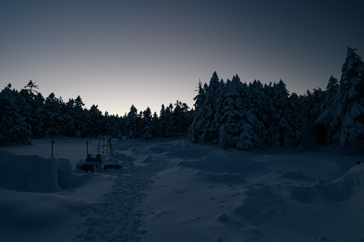 f:id:daitai_Iro:20220203221518j:plain