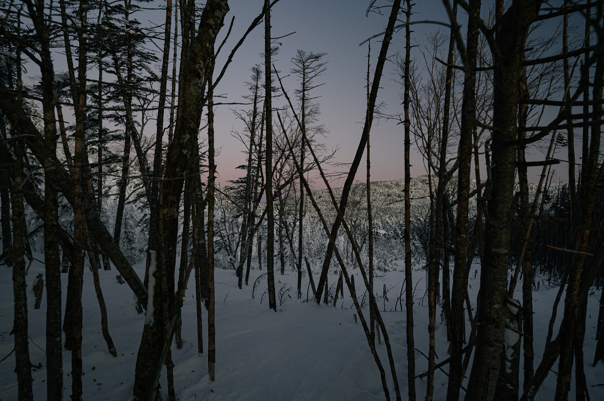 f:id:daitai_Iro:20220203221634j:plain