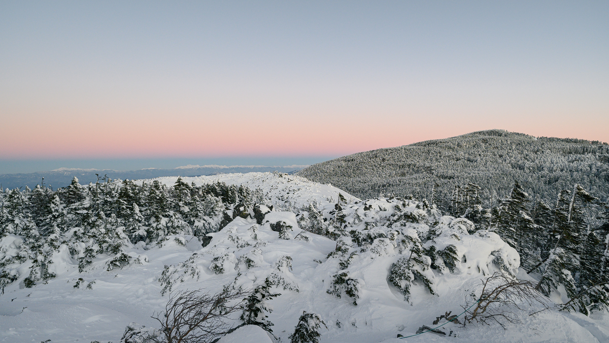 f:id:daitai_Iro:20220203221716j:plain