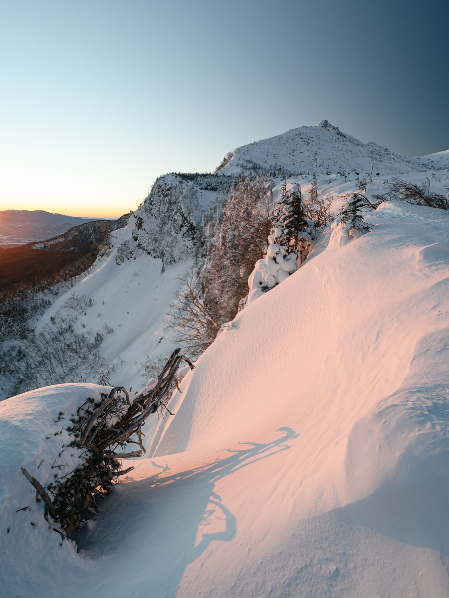 f:id:daitai_Iro:20220203221811j:plain