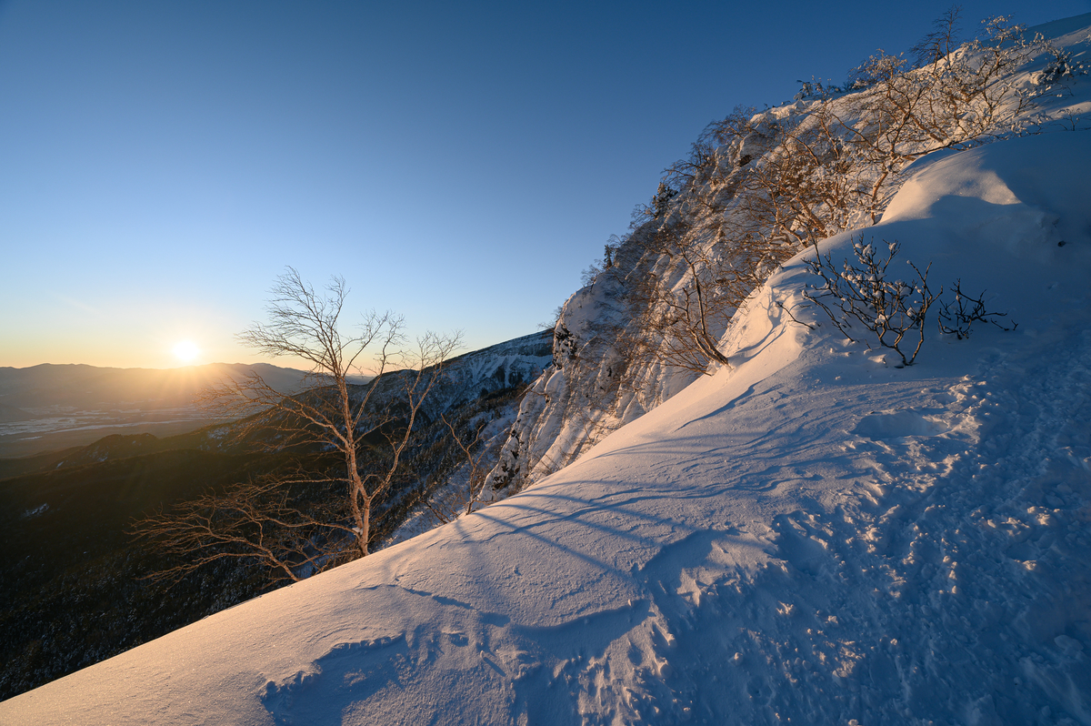 f:id:daitai_Iro:20220203222135j:plain