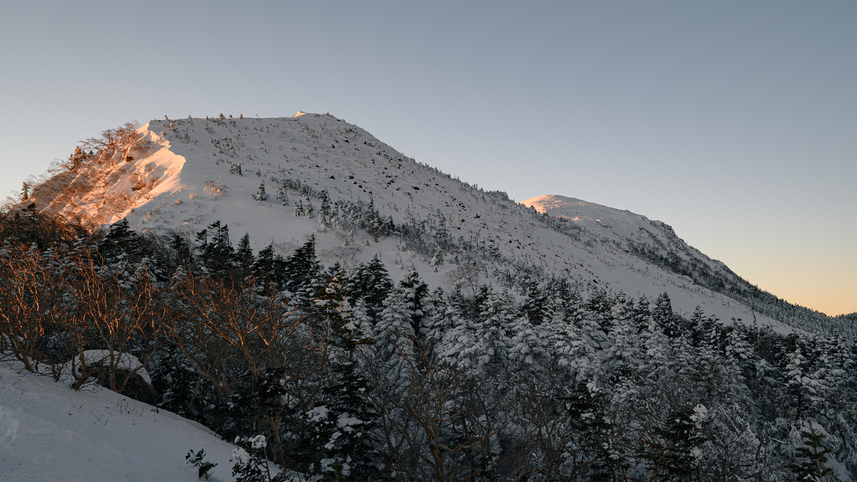 f:id:daitai_Iro:20220203222200j:plain