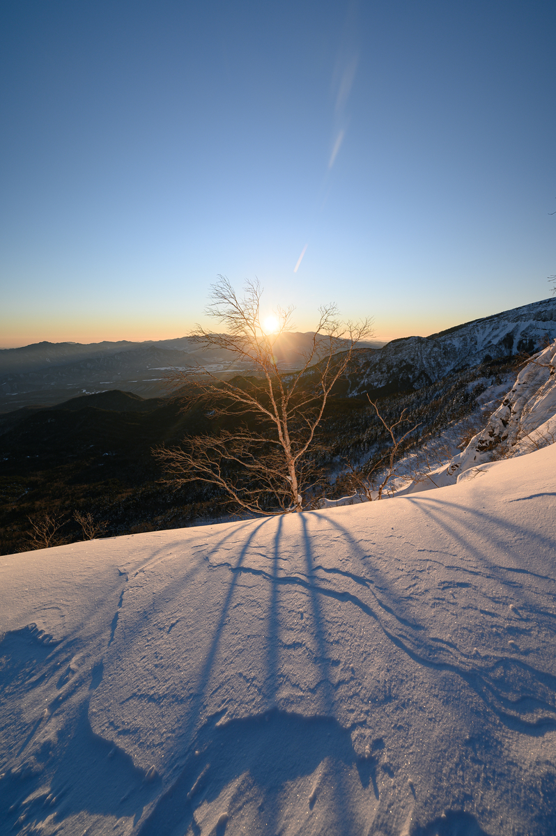 f:id:daitai_Iro:20220204213239j:plain