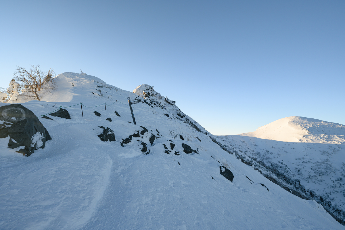 f:id:daitai_Iro:20220204213526j:plain