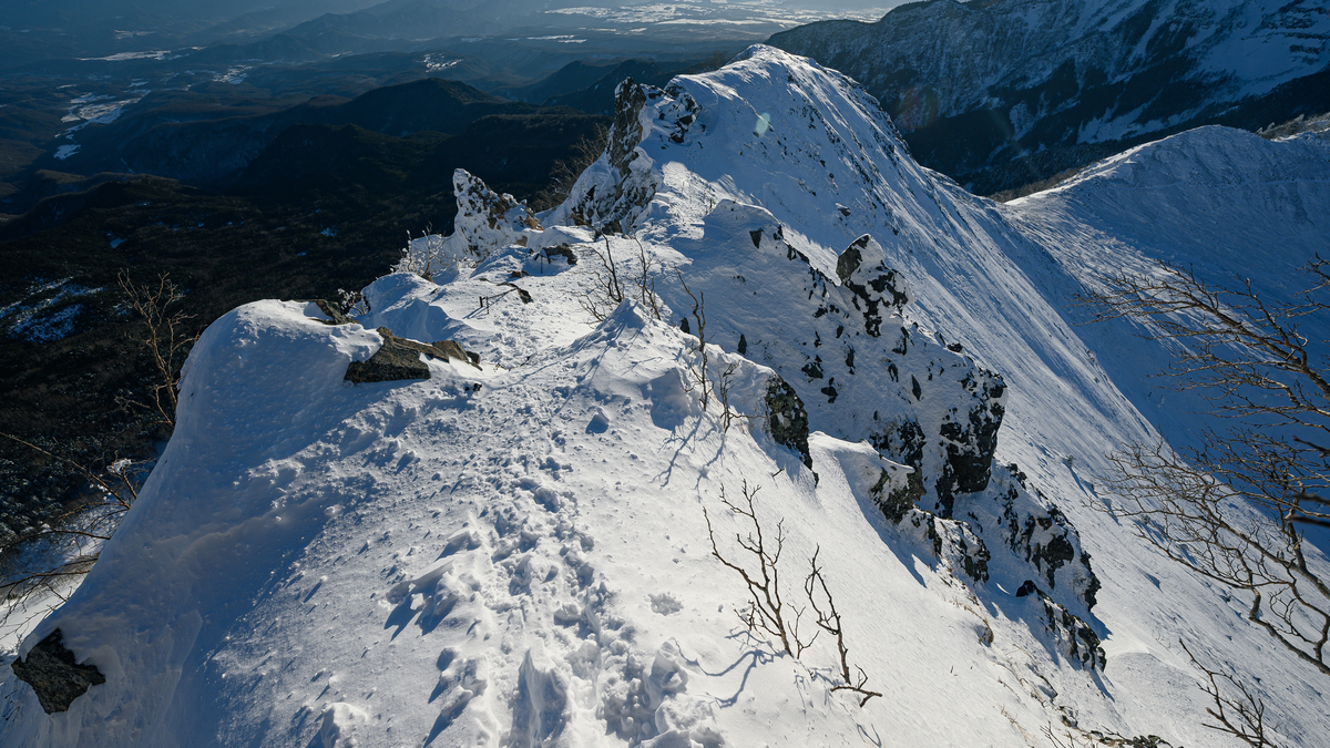 f:id:daitai_Iro:20220204220432j:plain