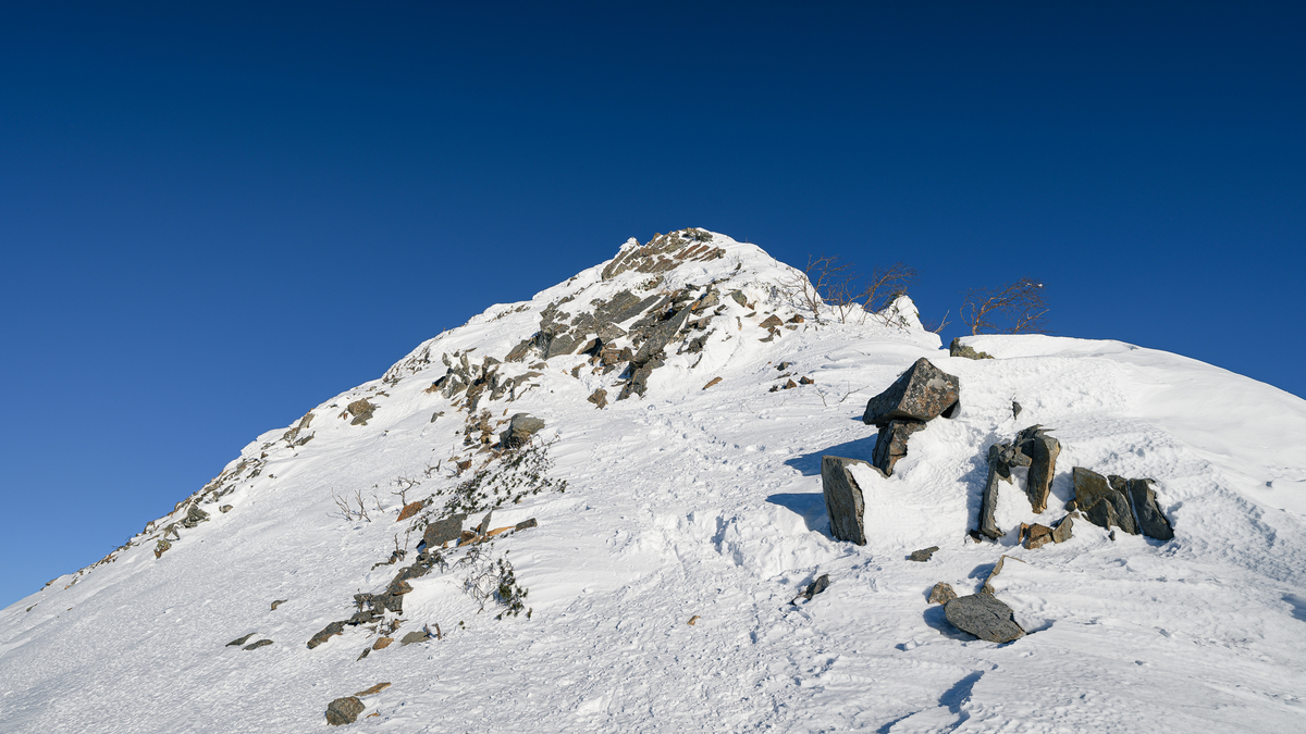 f:id:daitai_Iro:20220204221150j:plain