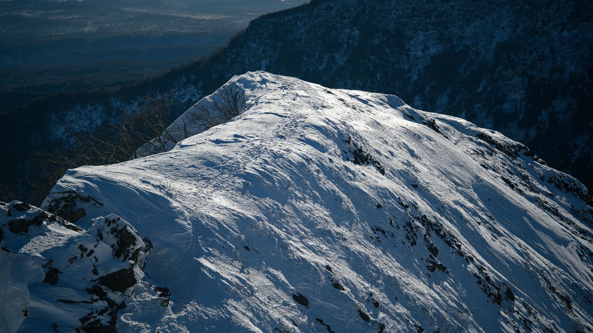 f:id:daitai_Iro:20220204221422j:plain