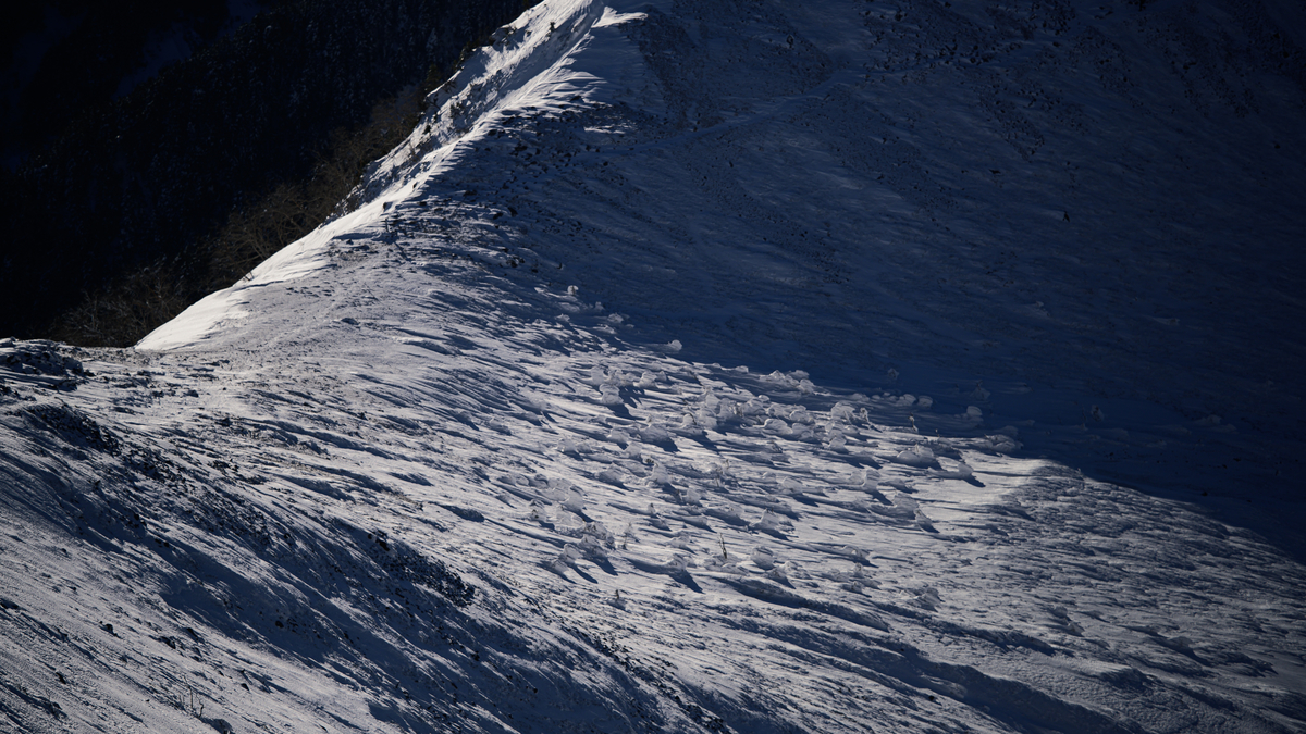 f:id:daitai_Iro:20220204221842j:plain